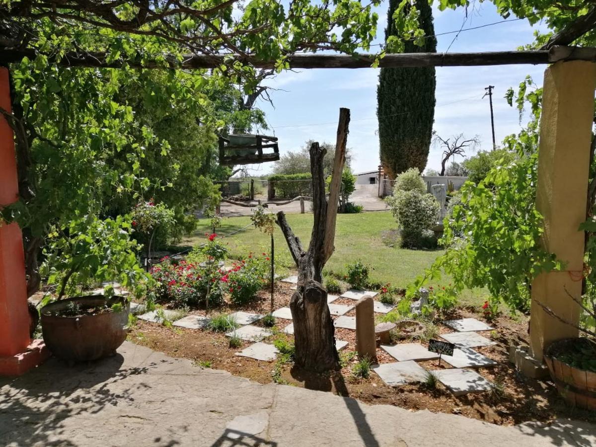 Witkrans Guest Farm Otel Middelburg  Dış mekan fotoğraf