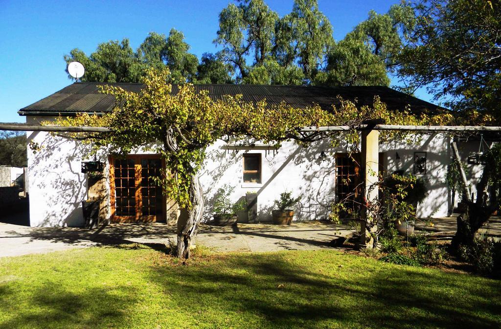Witkrans Guest Farm Otel Middelburg  Dış mekan fotoğraf